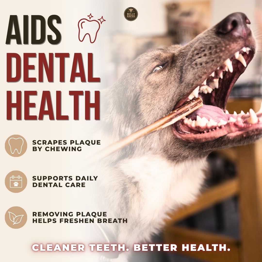 Bully Bunches Premium (6" Standard - 20 Pack) Odour-Free, Consistently Sized Bully Sticks for Medium Dogs - Long Lasting Oral Care Chews - All Natural Fully Digestible Beef Treat, No Rawhide 🍁 All In One Marketplace Canada