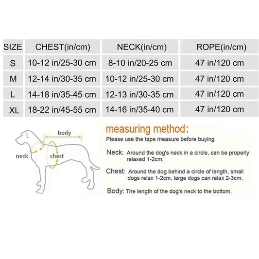 Brittany Dog Harness & Leash Set | Rhinestone Dog Walking Set