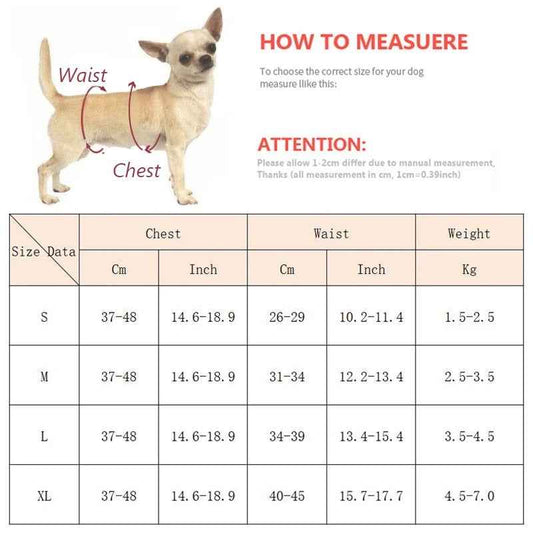 Mariam Swimsuit