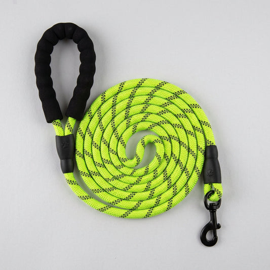 Reflective Dog Leash for Night Walks
