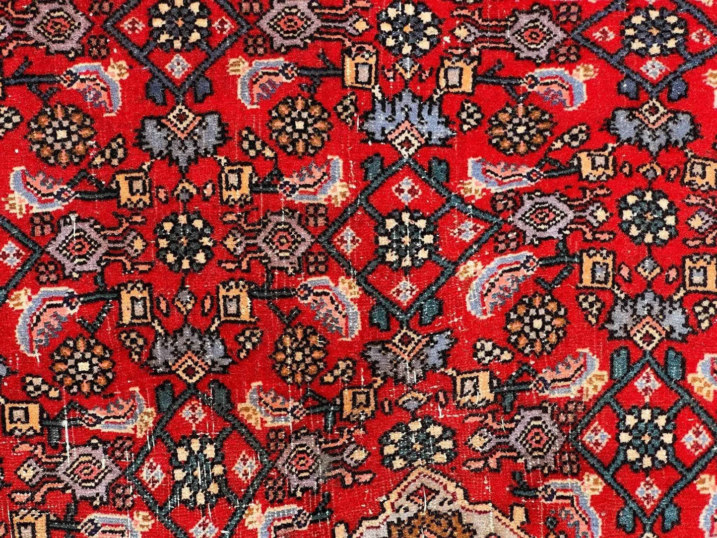 Persian Bidjar Rug | 7' 8" x 11' 8"