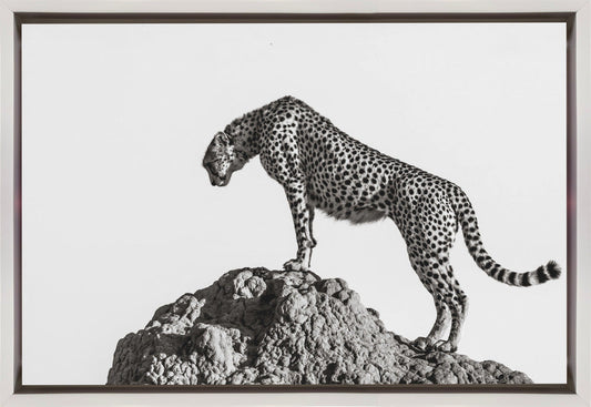 Wandbild der Jäger