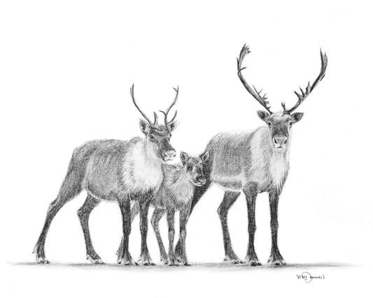 Caribous Family - Woodland Animal Wall Art