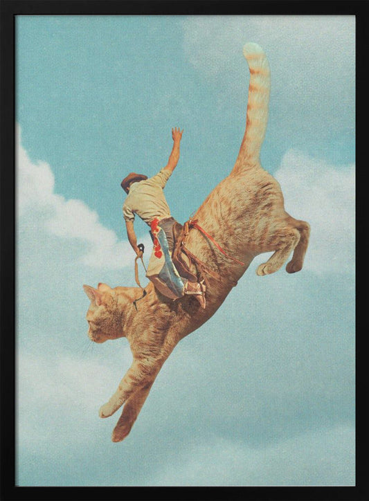 Wandbild Meehaw Rodio Katze