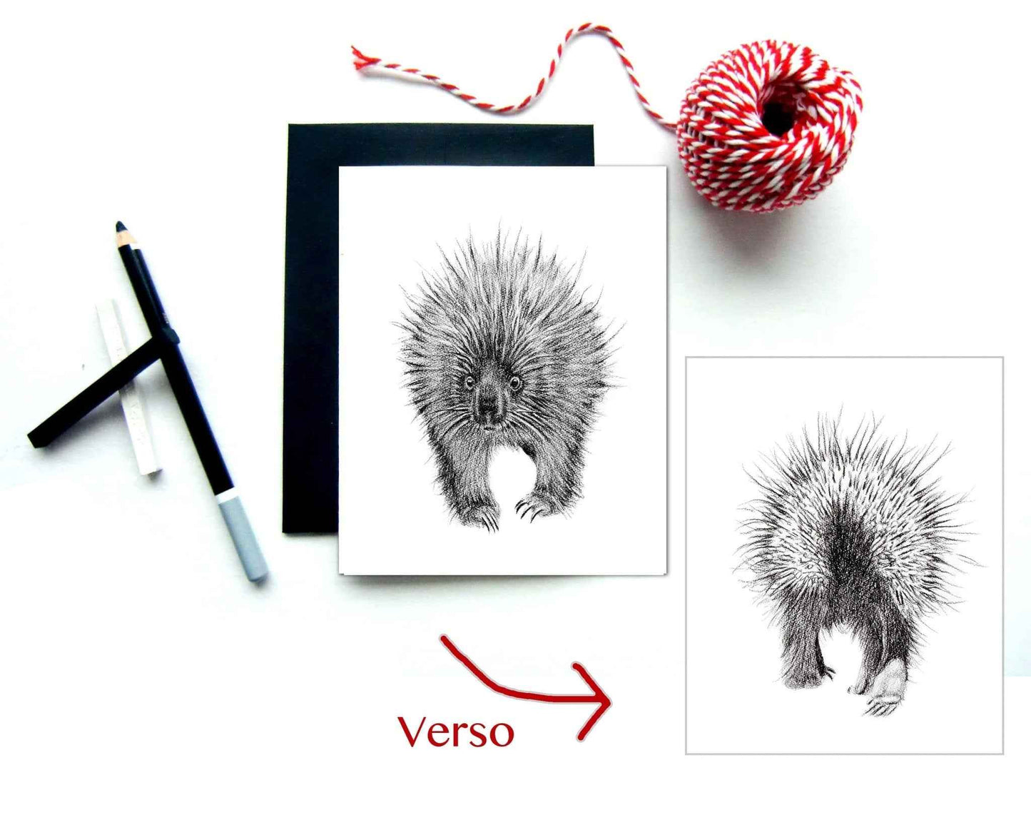 Porcupine front and back Greeting Card