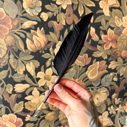 The Shadow Scribe – Black Goose Feather Quill with Brass Nib Holder