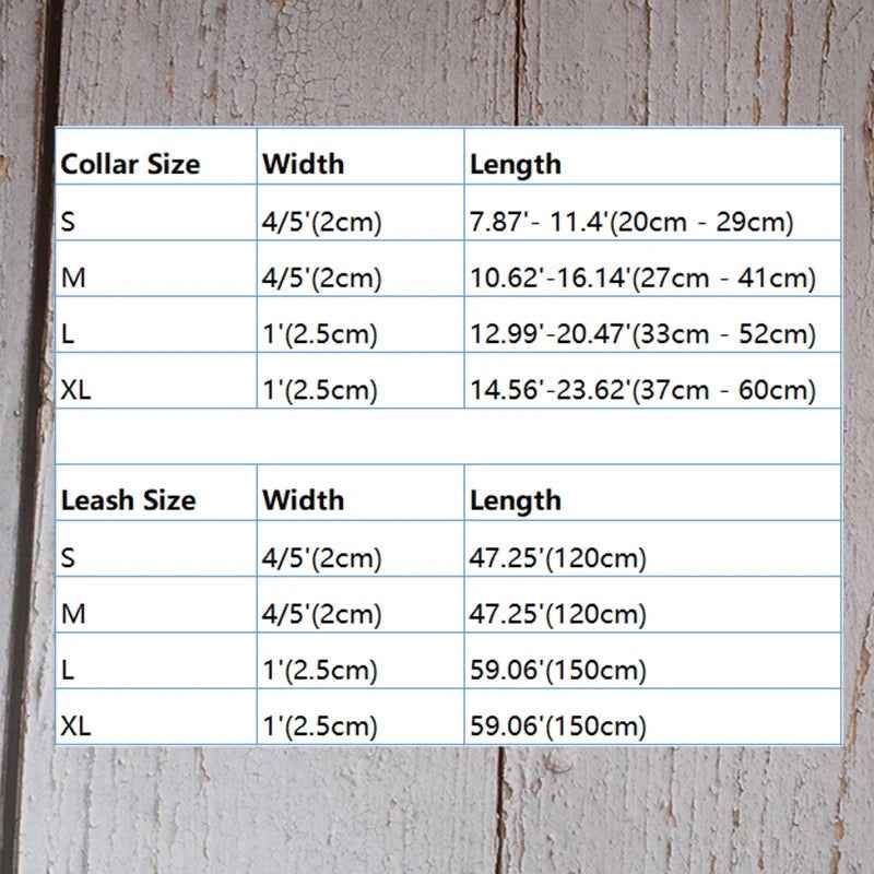 Baby Boo Engraved Dog Collar and Leash Set | Personalized Walking Accessories