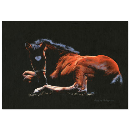 TOUCHED BY THE LIGHT fine art print