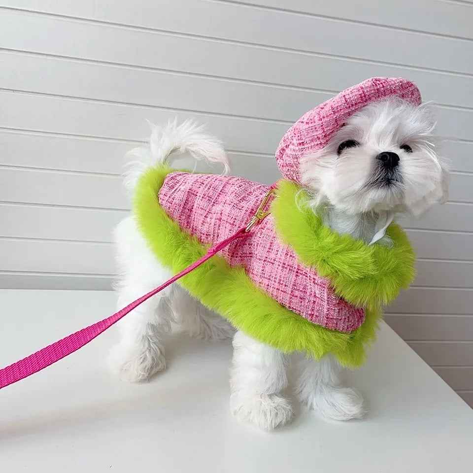 Plaid Harness Set | Dog Harness Leash and Hat Set