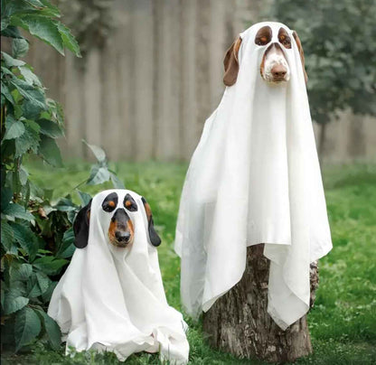 Ghost Dog Costume | Halloween Dog Costume