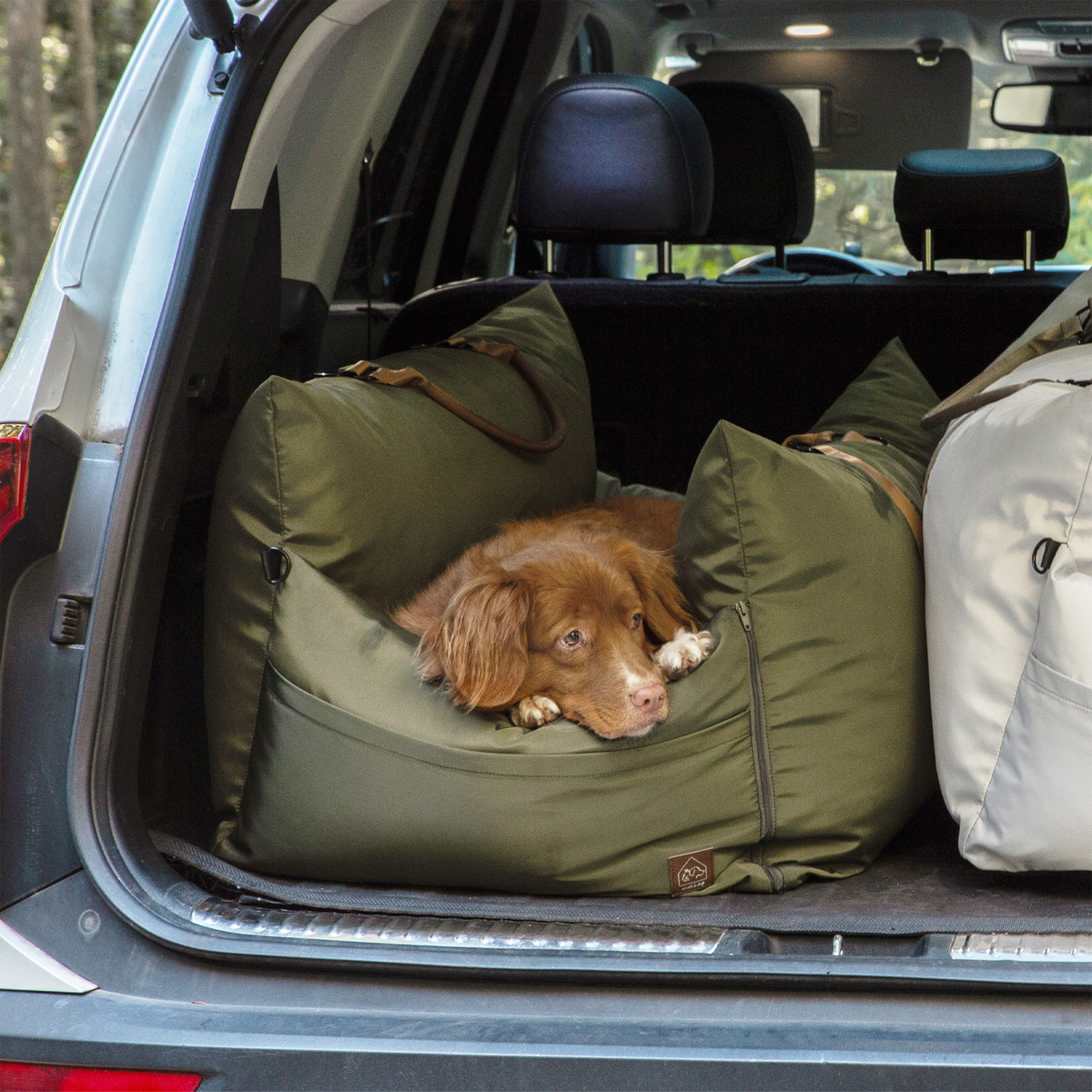 marco XL travel pet bed