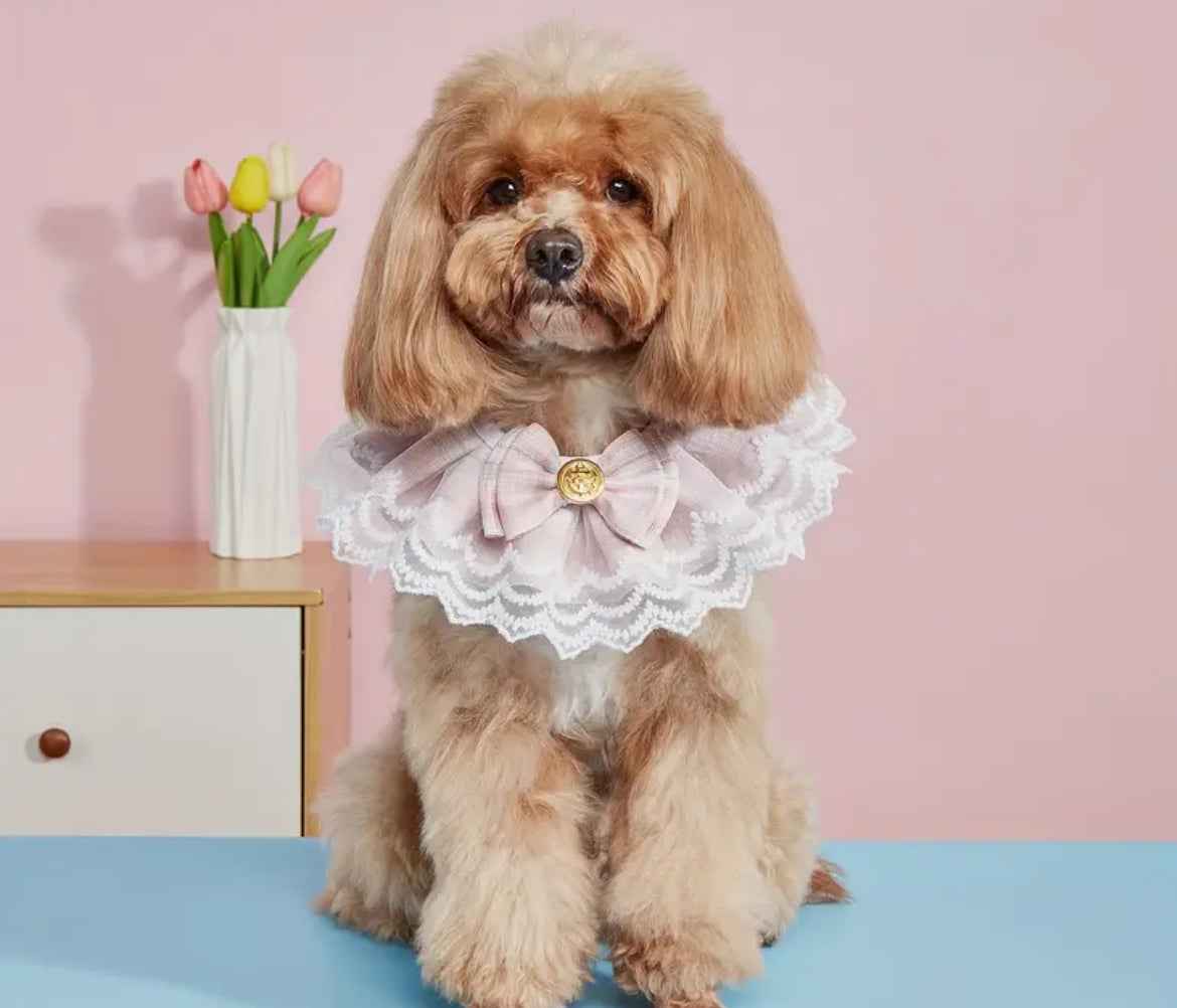 Marina Dog Bandana | Stylish Dog Clothes Accessory for Small and Large Dogs