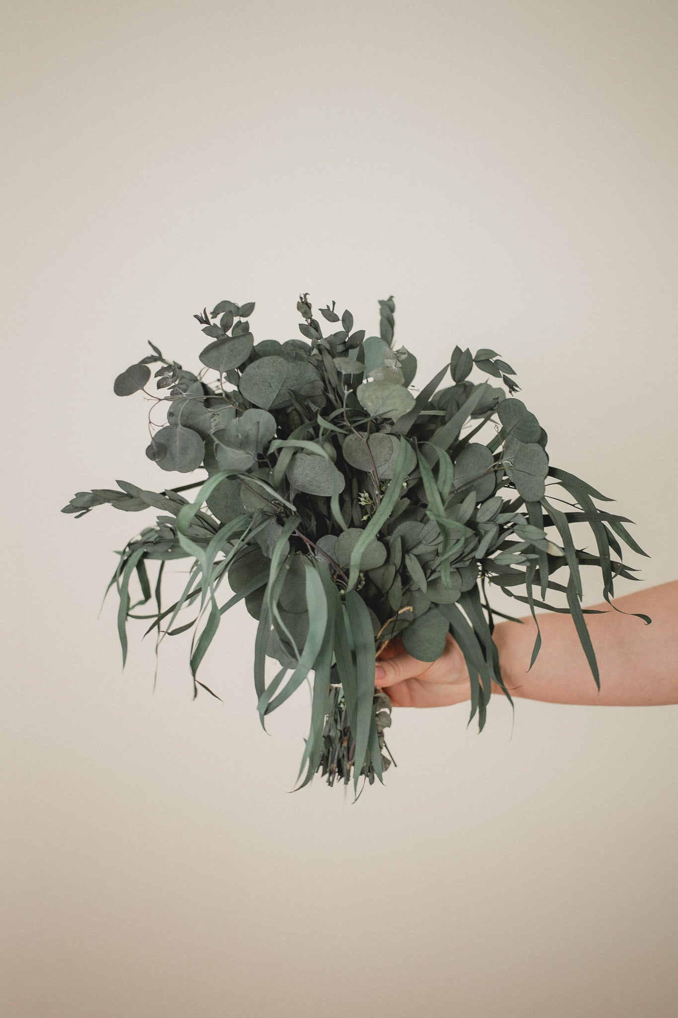 Preserved Eucalyptus Arrangement