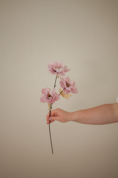 Wild Peony
