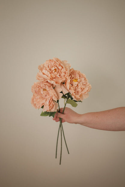 London Peony