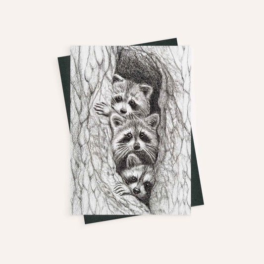 3 Raccoons in a tree - greeting card