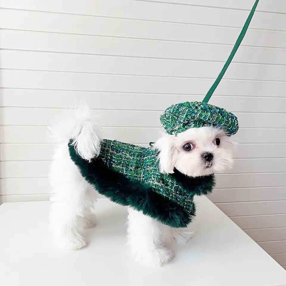 Evergreen Heritage Tweed Dog Harness Set | Harness Hat and Leash Outfit