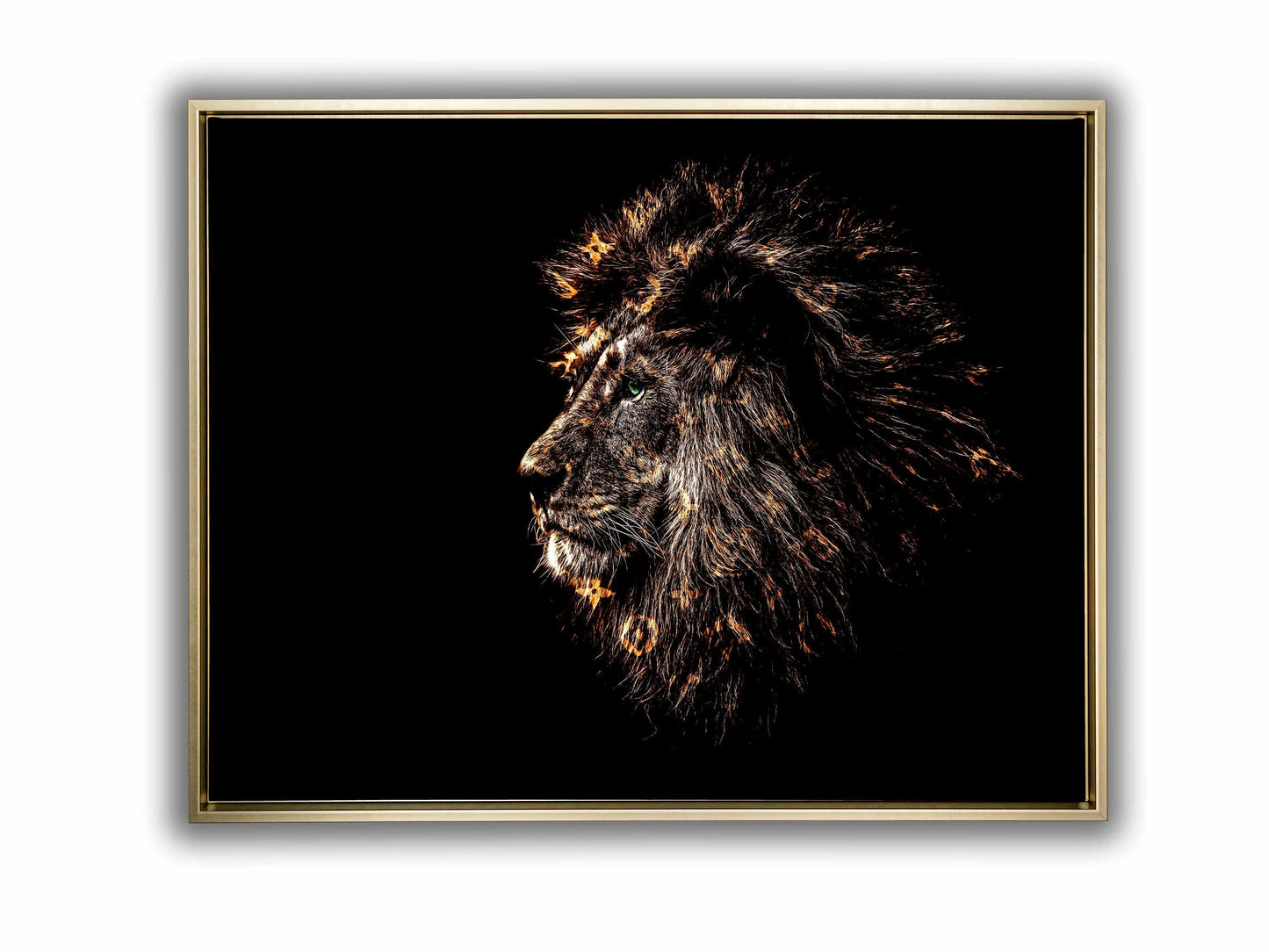 Edle Kunstleinwand „Löwe mit reichem Golddekor“ 122 x 91 cm