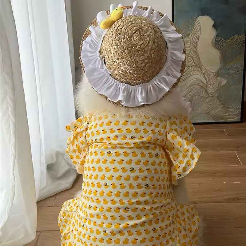 Summertime Happiness Dress Set – Luxury Large Breed Dog Dress with Hat
