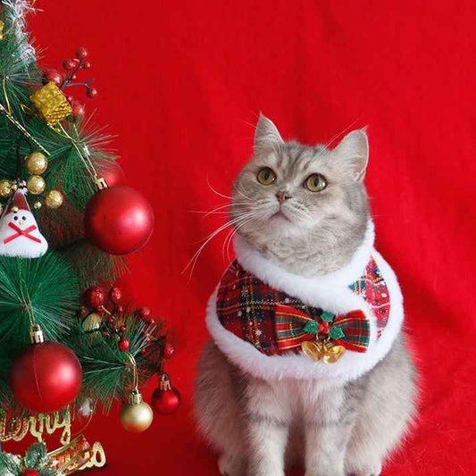 Merry Moments Holiday Dog Cloak | Christmas Outerwear Clothing