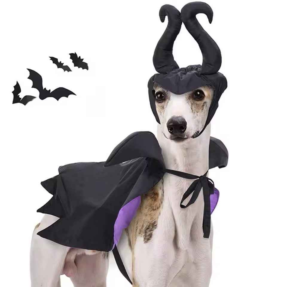 Pawleficent Dog Halloween Costume | Dog Costume for Halloween