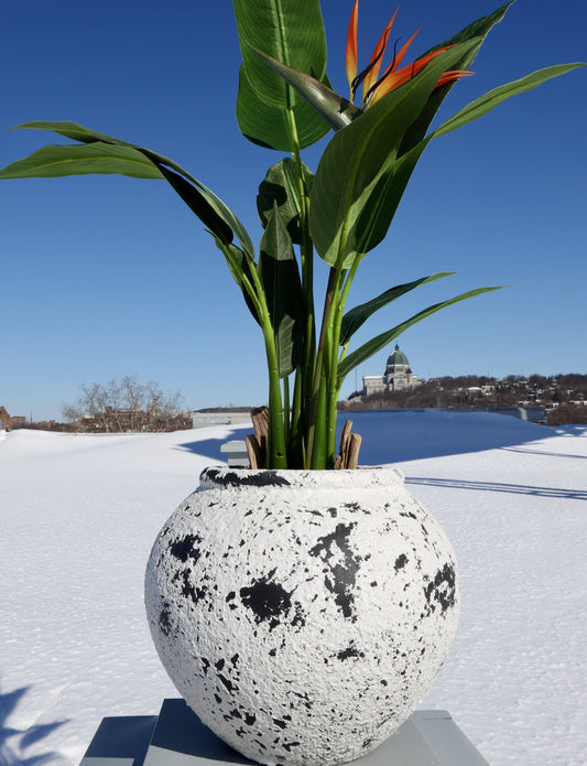 Athens Cement Planter 14''