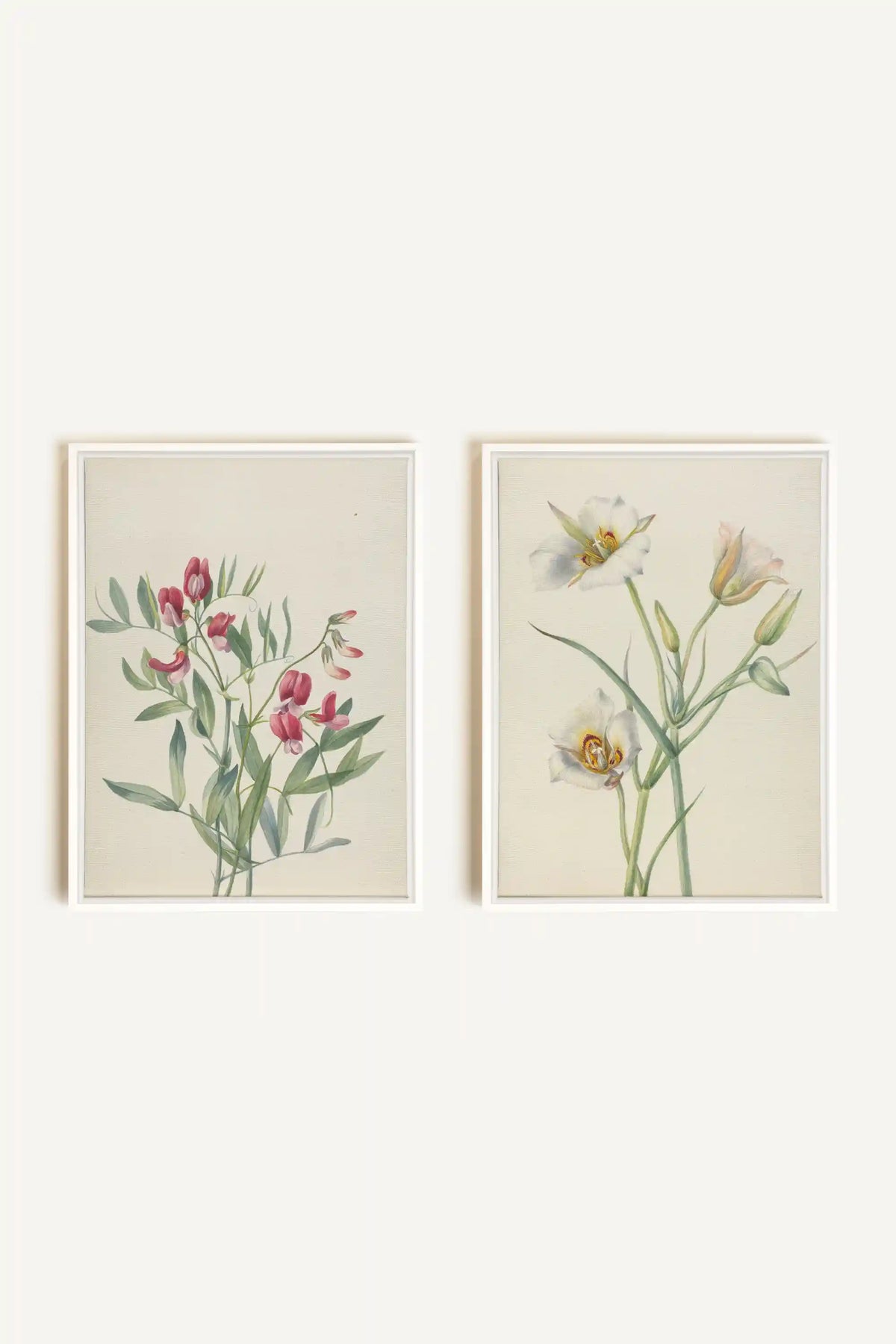 NATURE'S POEM DUO, 2 Oeuvres sur toile étirée, encadré Blanc (Collective)