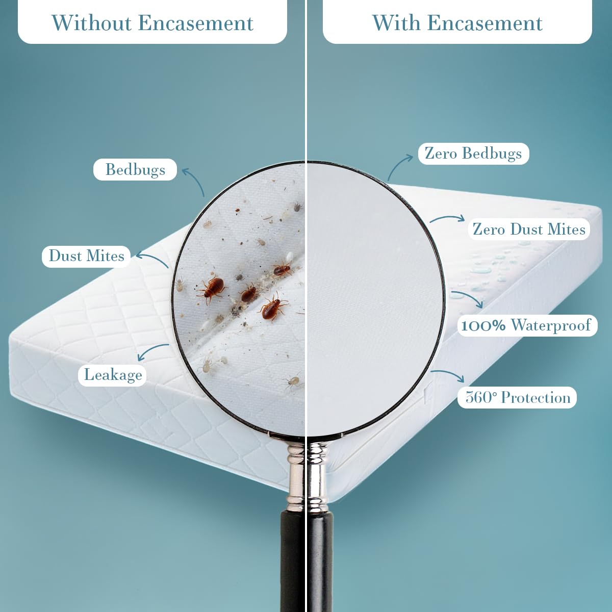 Utopia Bedding Zippered Mattress Encasement Queen (Pack of 2) - 100% Waterproof and Bed Bug Proof Mattress Protector - Absorbent, Six-Sided Mattress Cover 🍁 All In One Marketplace Canada
