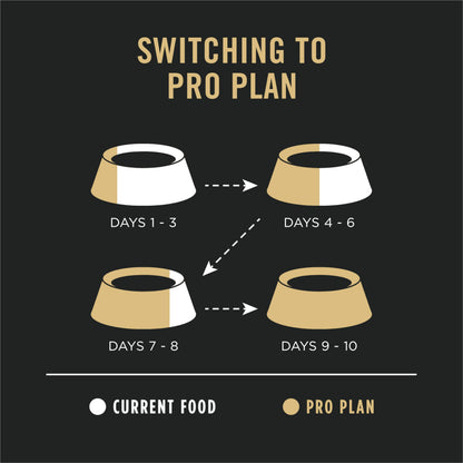 Pro Plan Dry Dog Food, Sensitive Skin & Stomach, Salmon & Rice, Brown, 7.26 kg (Pack of 1) 🍁 All In One Marketplace Canada