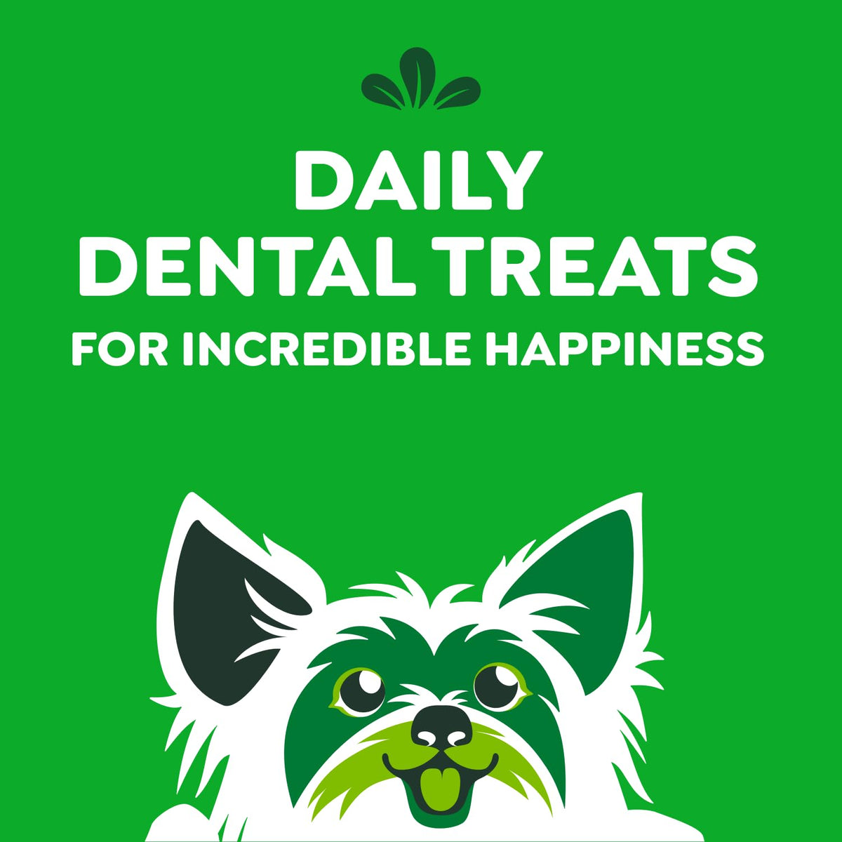 GREENIES Dog Treats Original Teenie Natural Dental Care, (130 Treats) 36oz. Pack 🍁 All In One Marketplace Canada