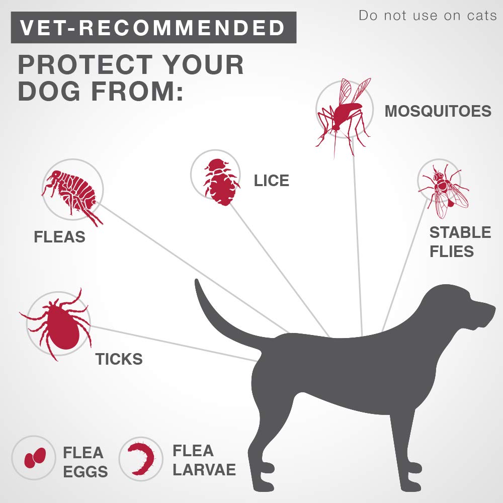 K9 Advantix II Flea and Tick Treatment for Medium Dogs weighing 4.6 kg to 11 kg (10 lbs. to 24 lbs.)-4 doses 🍁 All In One Marketplace Canada