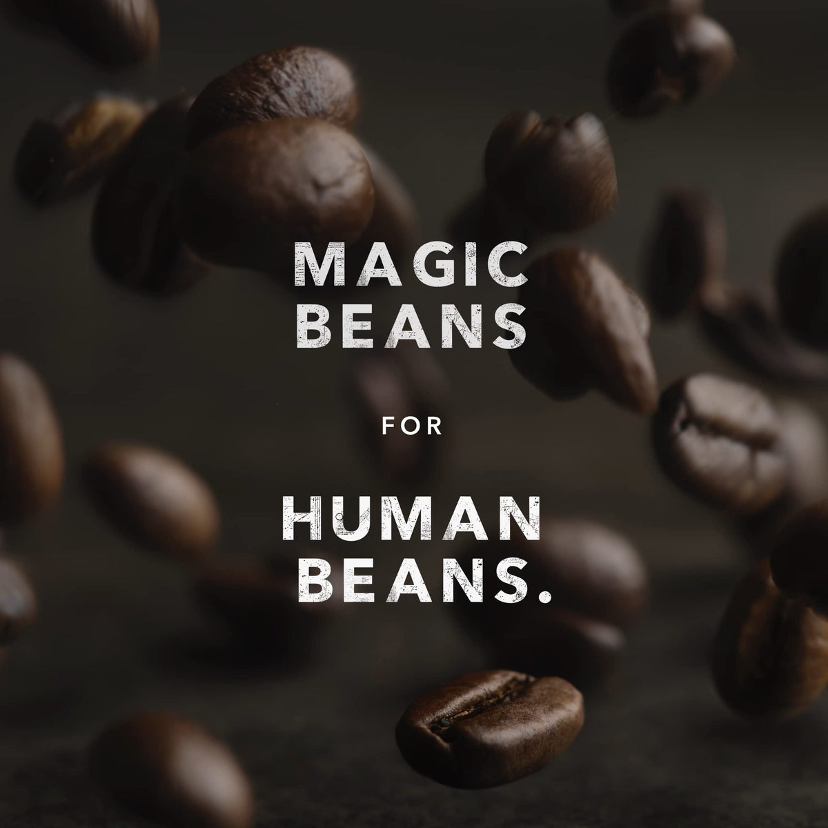 Kicking Horse Coffee, Smart Ass, Medium Roast, Whole Bean, 1 lb - Certified Organic, Fairtrade, Kosher Coffee 🍁 All In One Marketplace Canada