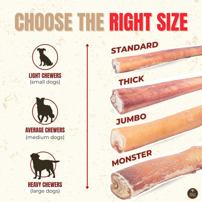 Bully Bunches Premium (6" Standard - 5 Pack) Odour-Free, Consistently Sized Bully Sticks for Small & Medium Dogs & Puppies, Long-Lasting Oral Care Chews, All-Natural Single-Ingredient Beef, No Rawhide 🍁 All In One Marketplace Canada