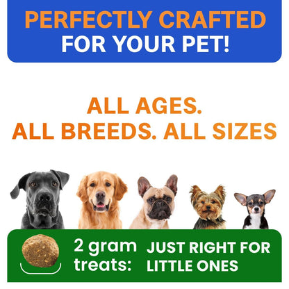 Probiotics for Dogs - Gas, Diarrhea, Allergy, Constipation, Upset Stomach Relief, w/Digestive Enzymes + Prebiotics - Chewable Supplement - Improve Digestion, Immunity - Dog Probiotics Chews - 180Ct 🍁 All In One Marketplace Canada