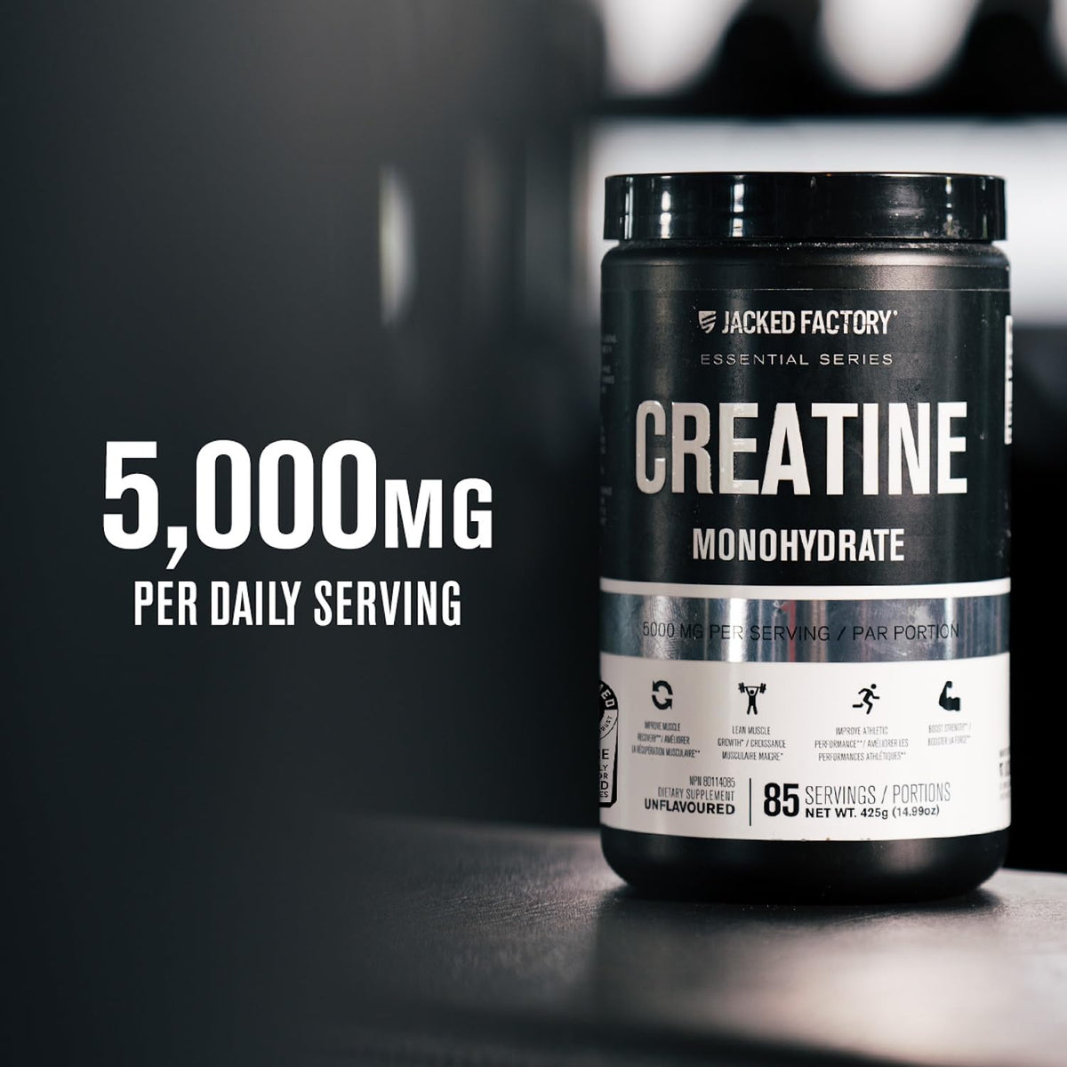 Jacked Factory Creatine Monohydrate Powder 425g - Canadian-Owned Informed Choice Certified Supplement for Increased Muscle Mass*, Improved Strength, Power, & Performance** - 85 Servings, Unflavored 🍁 All In One Marketplace Canada