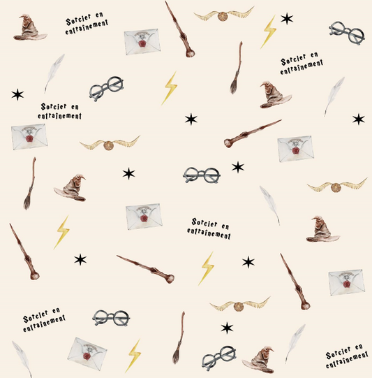 Couverture minky sorcier ⚡️petite
