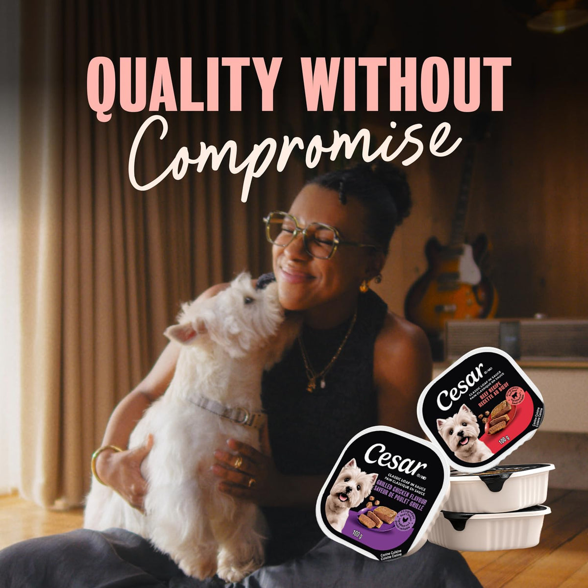 CESAR Classic Loaf in Sauce Adult Wet Dog Food Beef Selects Variety Pack, 24x100g Trays 🍁 All In One Marketplace Canada