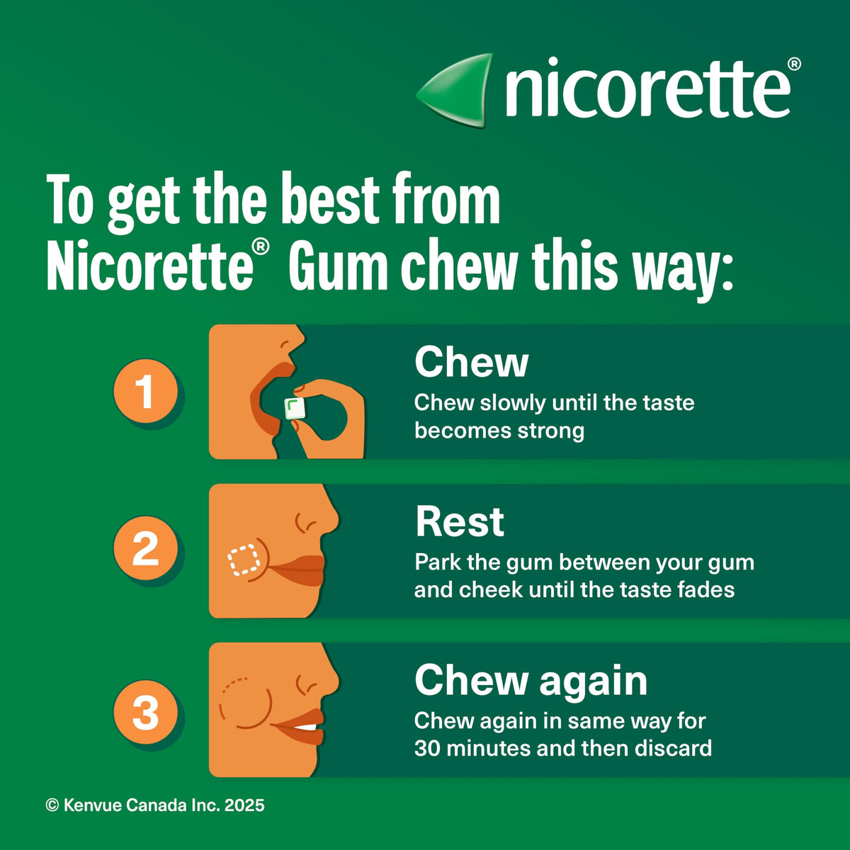Nicorette Gum Smoking Cessation Product, Nicotine Replacement Therapy Aid for Adults, Doubles Quit Success, Spearmint Flavour, 2mg, 210 Pieces 🍁 All In One Marketplace Canada