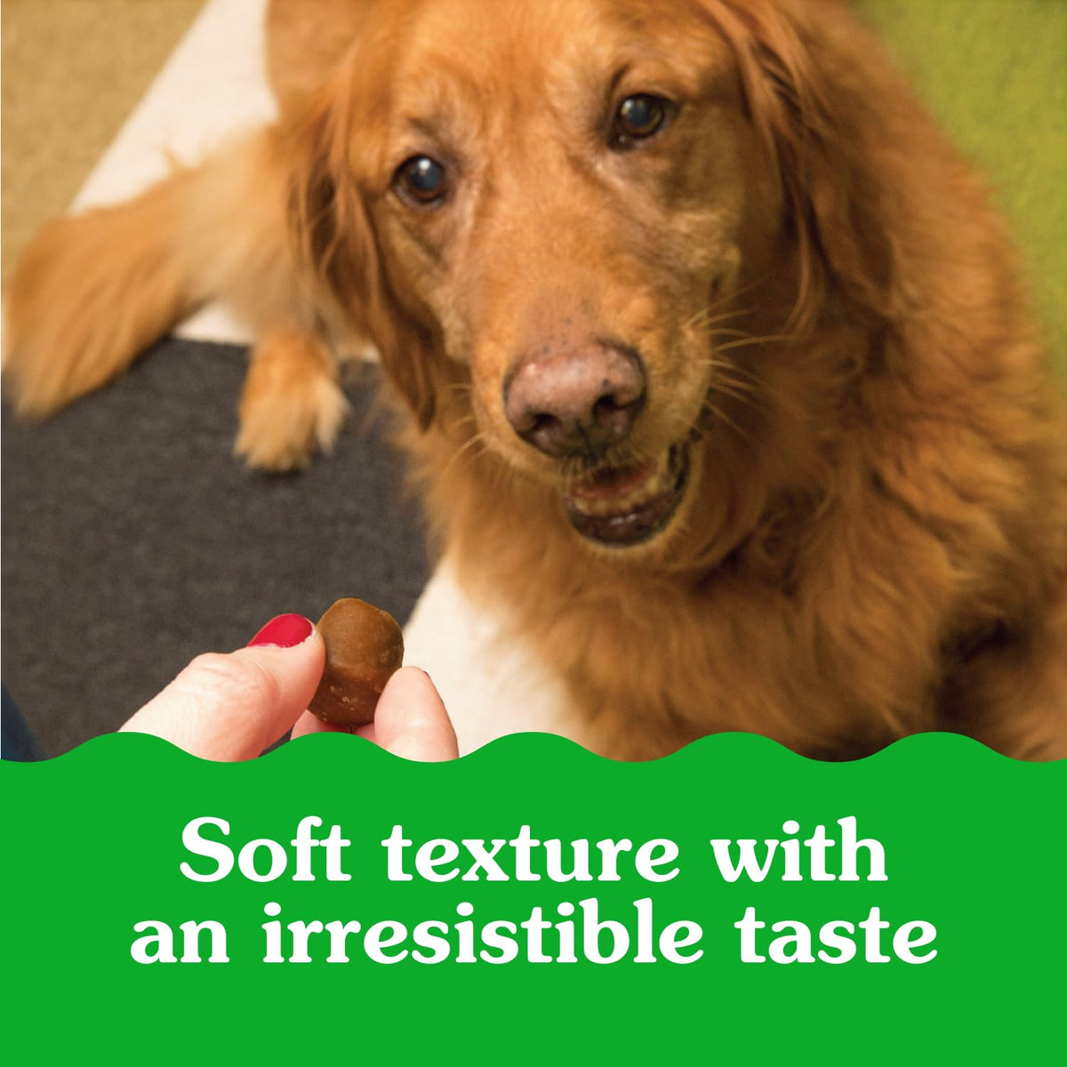 GREENIES Pill Pockets Capsule Size Natural Soft Dog Treats Chicken Flavor, (60 Treats) 15.8oz. Pack 🍁 All In One Marketplace Canada