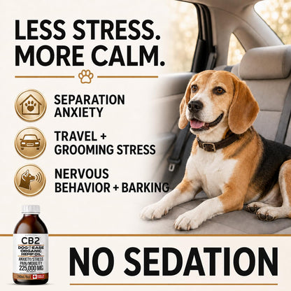 CB2 Hemp Oil for Dogs [225,000mg / 240mL / Organic] - Natural Hip and Joint Supplement for Dogs - Calming Anxiety Relief - Extra Strength for Pain, Inflammation, Arthritis, Stress, Aggression 🍁 All In One Marketplace Canada