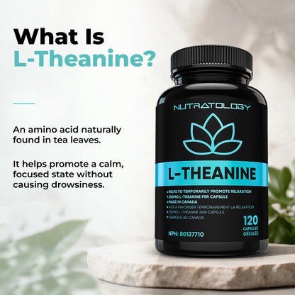 Nutratology® L-Theanine 250MG Capsules | Canadian-Made | For Stress Management | Promotes Relaxation & Calmness Without Drowsiness - L-Theanine Supplement for Stress Relief | 120 Capsules 🍁 All In One Marketplace Canada