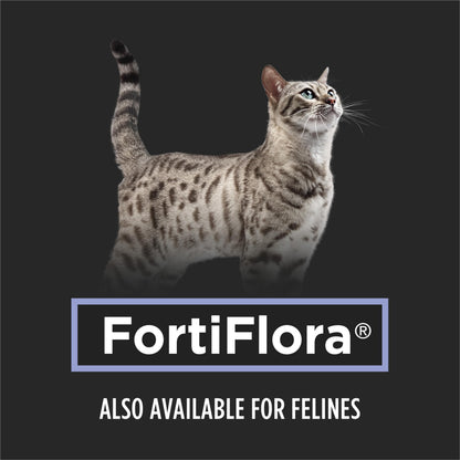 Purina Pro Plan Veterinary Supplements Fortiflora Powdered Dog Probiotics - 30 g sachets (Pack of 30) 🍁 All In One Marketplace Canada