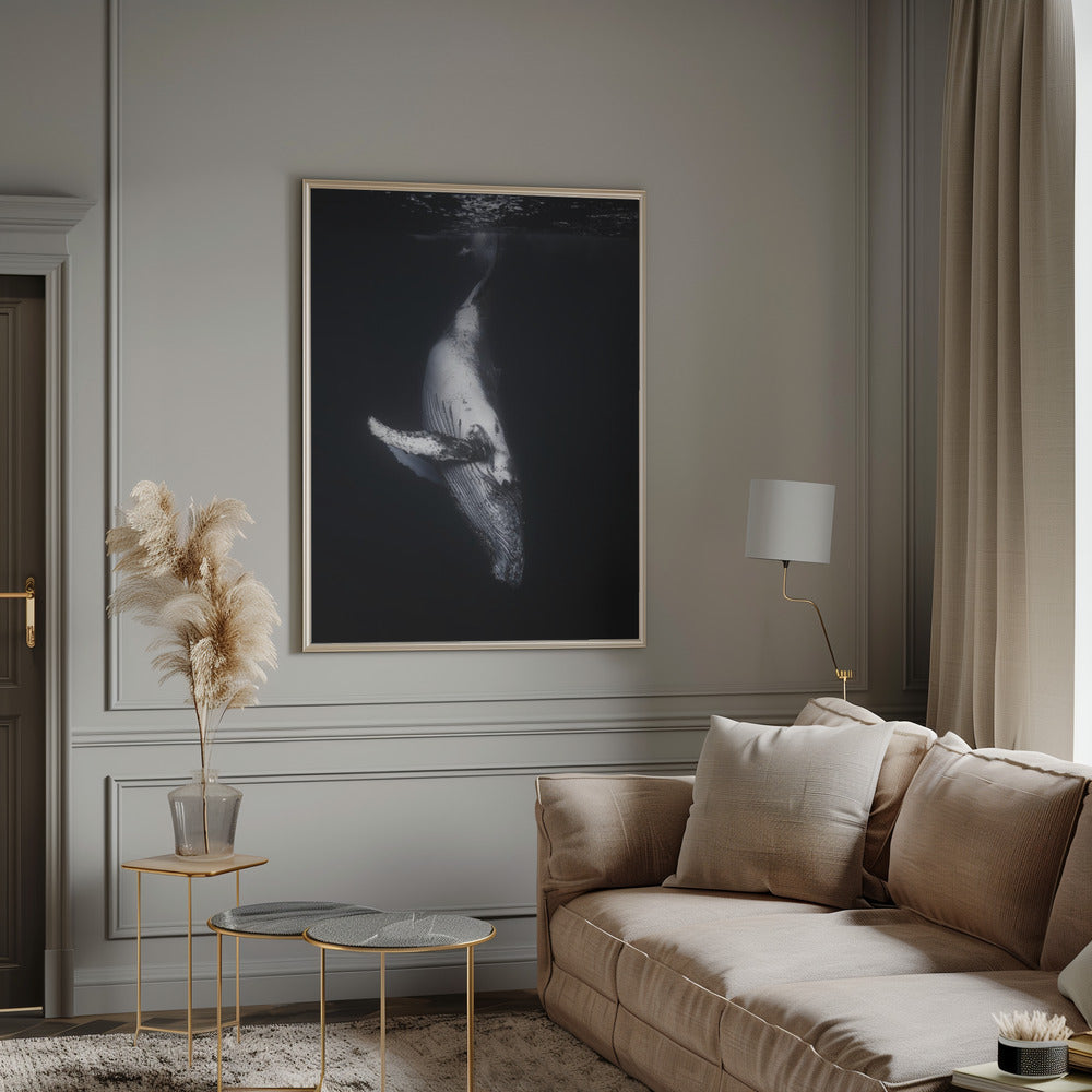 Wall Art-Black Whale