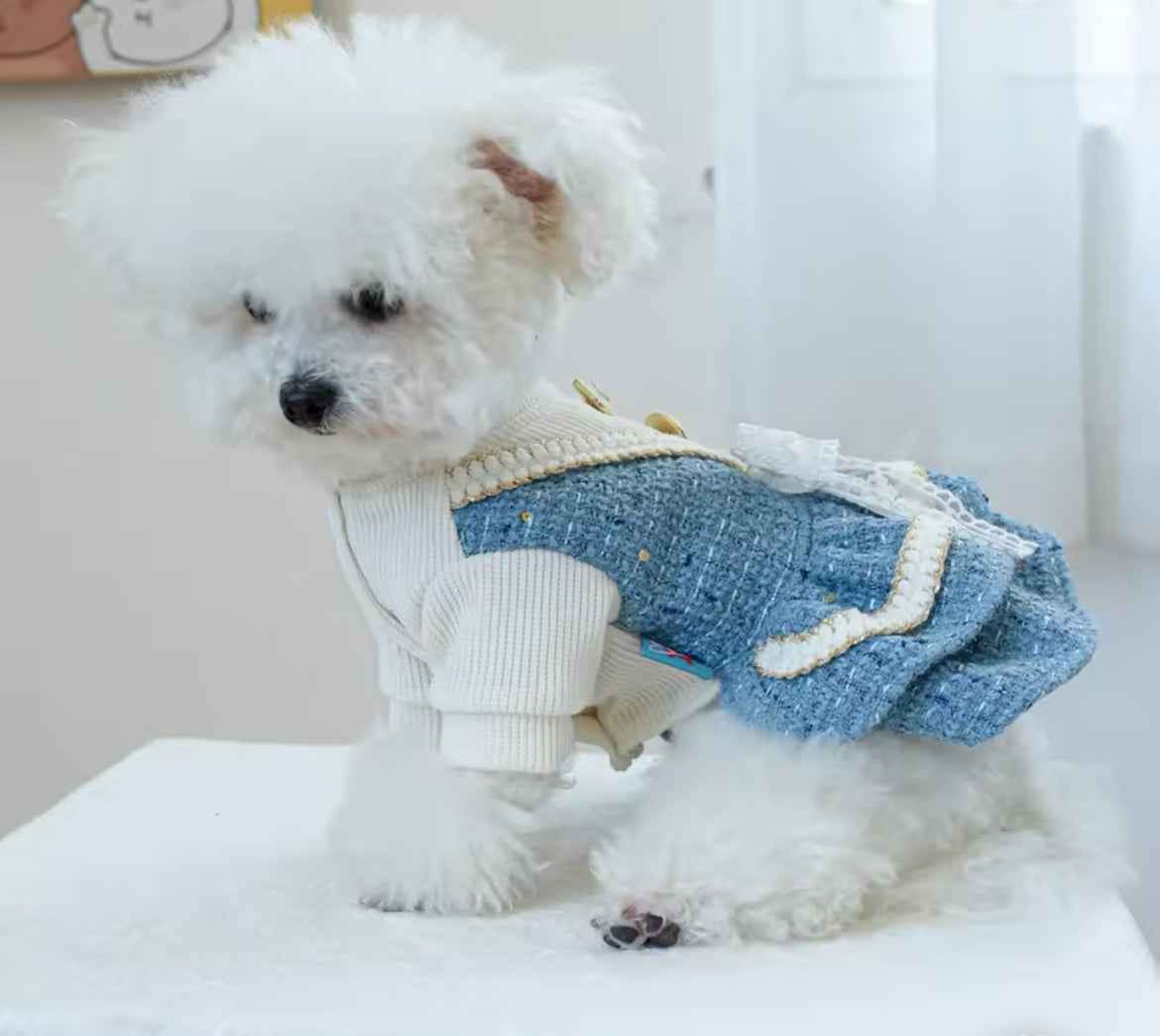 Stella Dog Dress | Dog Dress for Everyday Wear
