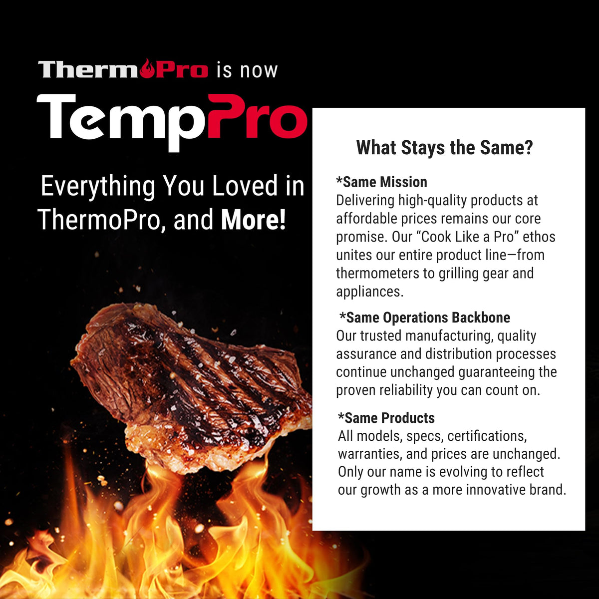 TempPro TP02S Digital Food Thermometer for Cooking Bread Baking Sourdough Liquids, Meat Thermometer Digital with Super Long Probe for Kitchen BBQ Yogurt Candy Making Accessory (Previously ThermoPro) 🍁 All In One Marketplace Canada