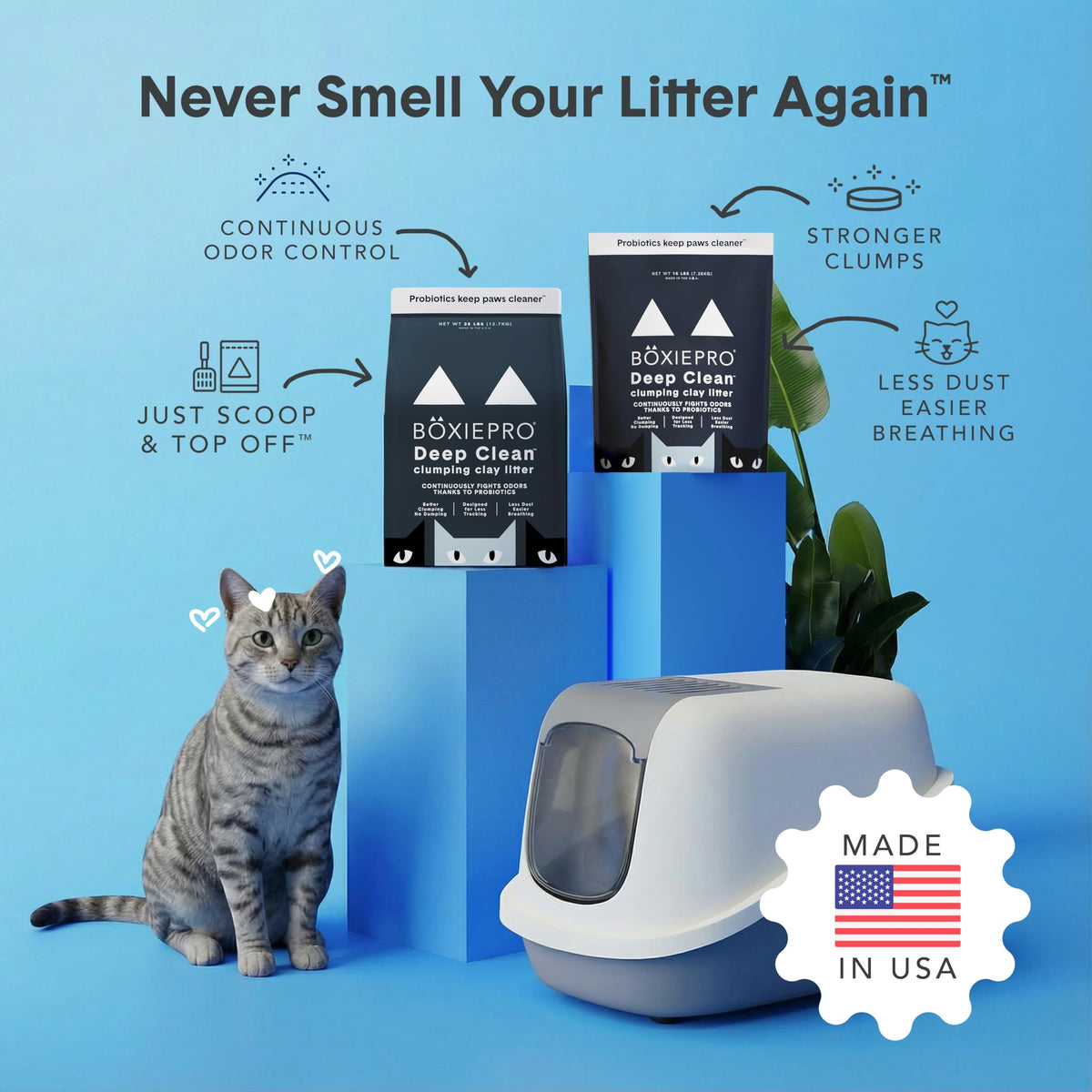 Boxie® Probiotic Cat Litter 40 Day Natural Odor Control, 16lb Clumping Kitty Litter (Clay) 🍁 All In One Marketplace Canada