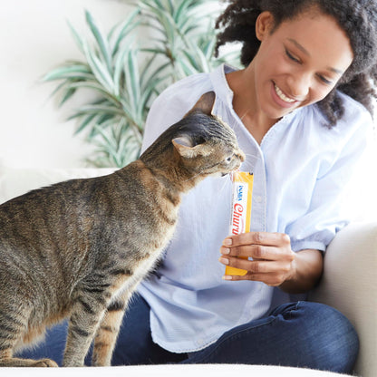 INABA Churu Cat Treats, Lickable, Squeezable Creamy Purée Cat Treat with Green Tea Extract & Taurine, 14 Grams Each Tube, 50 Tubes, Chicken Variety 🍁 All In One Marketplace Canada