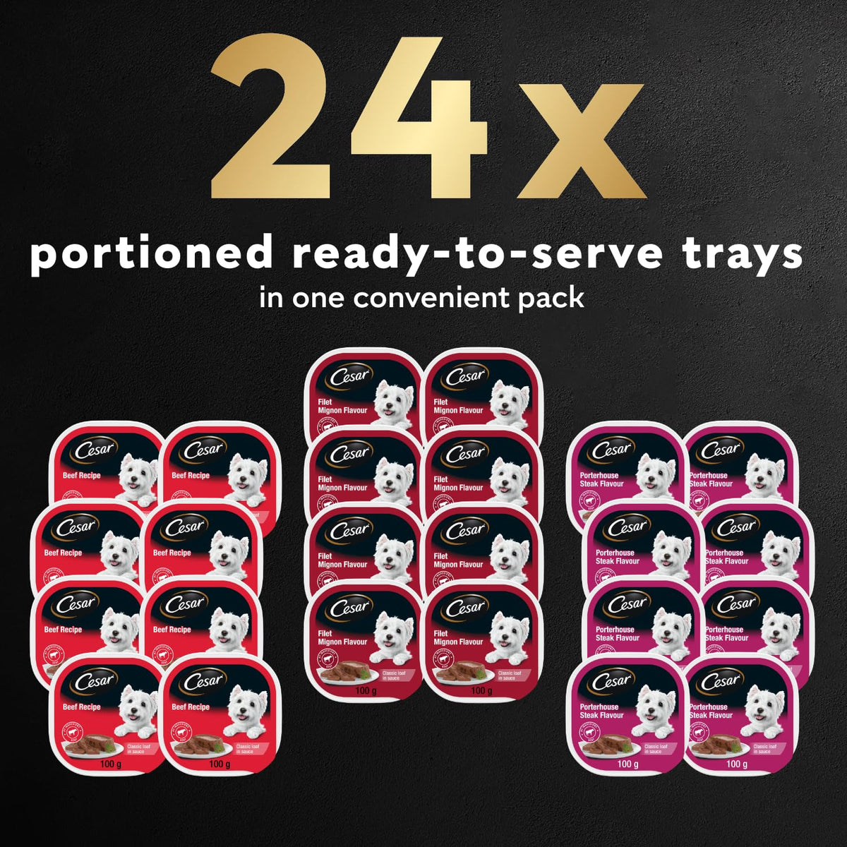 CESAR Classic Loaf in Sauce Adult Wet Dog Food Beef Selects Variety Pack, 24x100g Trays 🍁 All In One Marketplace Canada