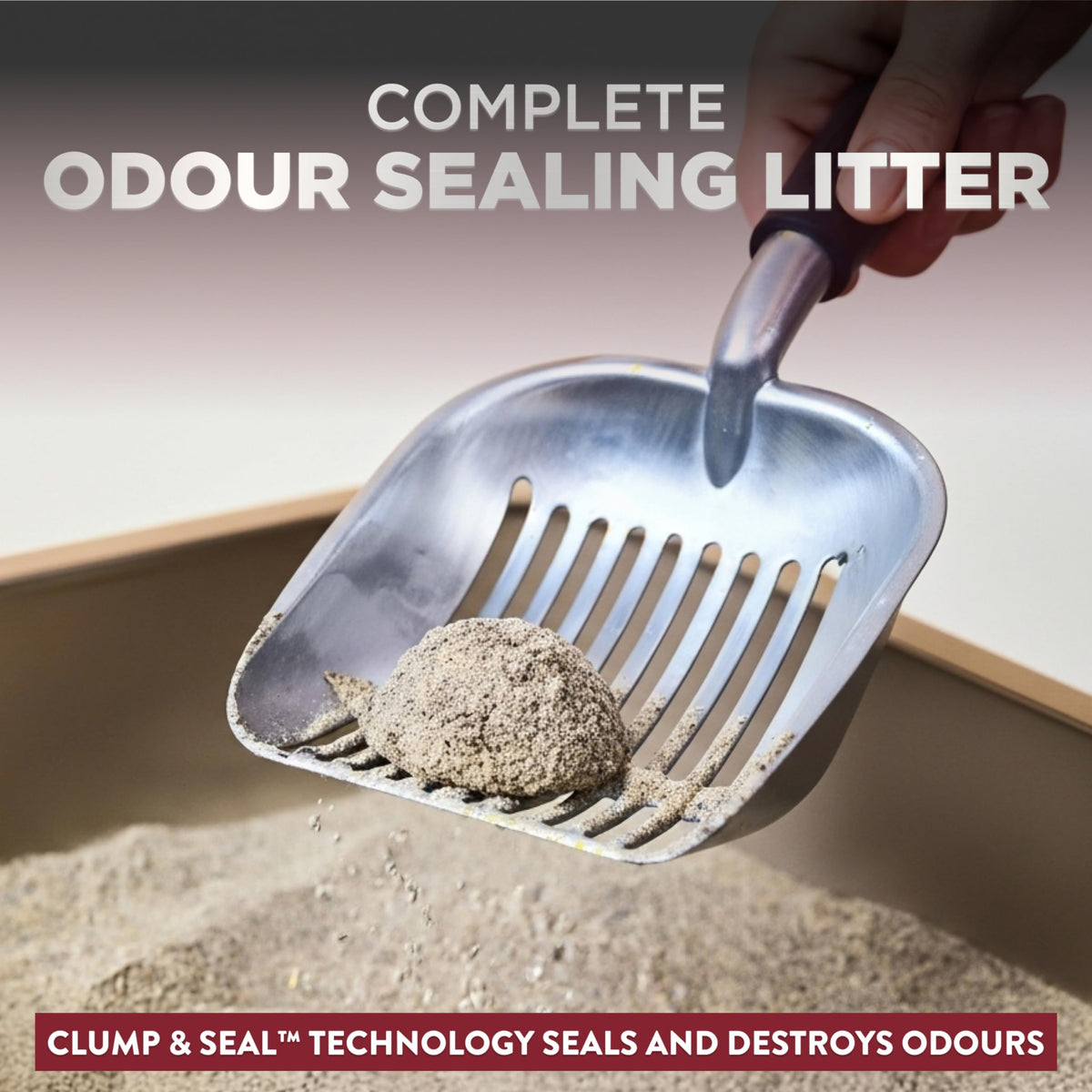 ARM & HAMMER Platinum Cat Litter, Clump & Seal, EXTRA STRENGTH Complete Odour Sealing with 14 Days of Odour Control, Multi-Cat, Hard Clumping Clay, 99.99% Dust Free, 18.14kg 🍁 All In One Marketplace Canada
