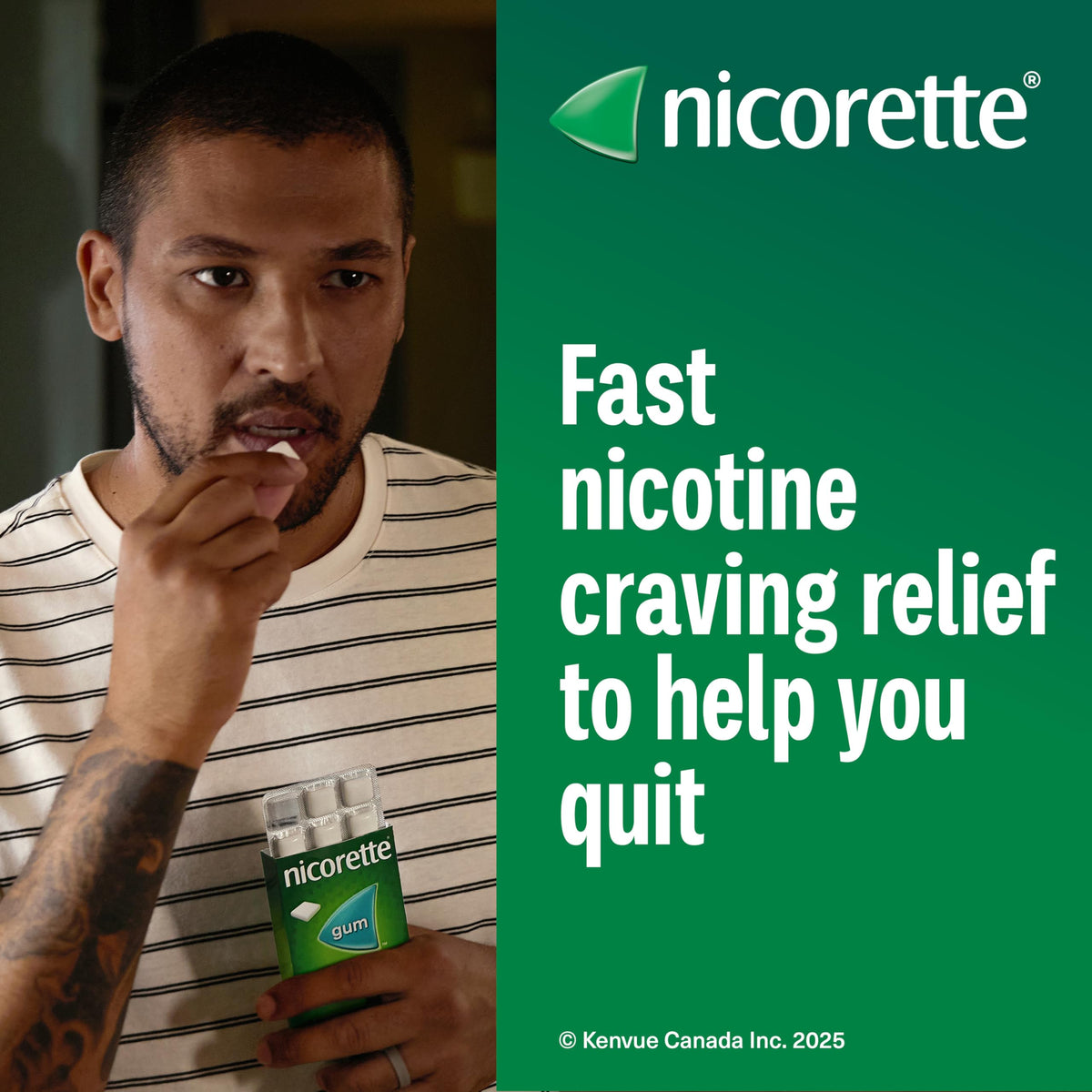 Nicorette 4mg Nicotine Gum, Fruit – Quit Smoking Aid with Fast Craving & Withdrawal Relief, Nicotine Replacement Therapy (NRT), 210 Pieces (Value Size) 🍁 All In One Marketplace Canada